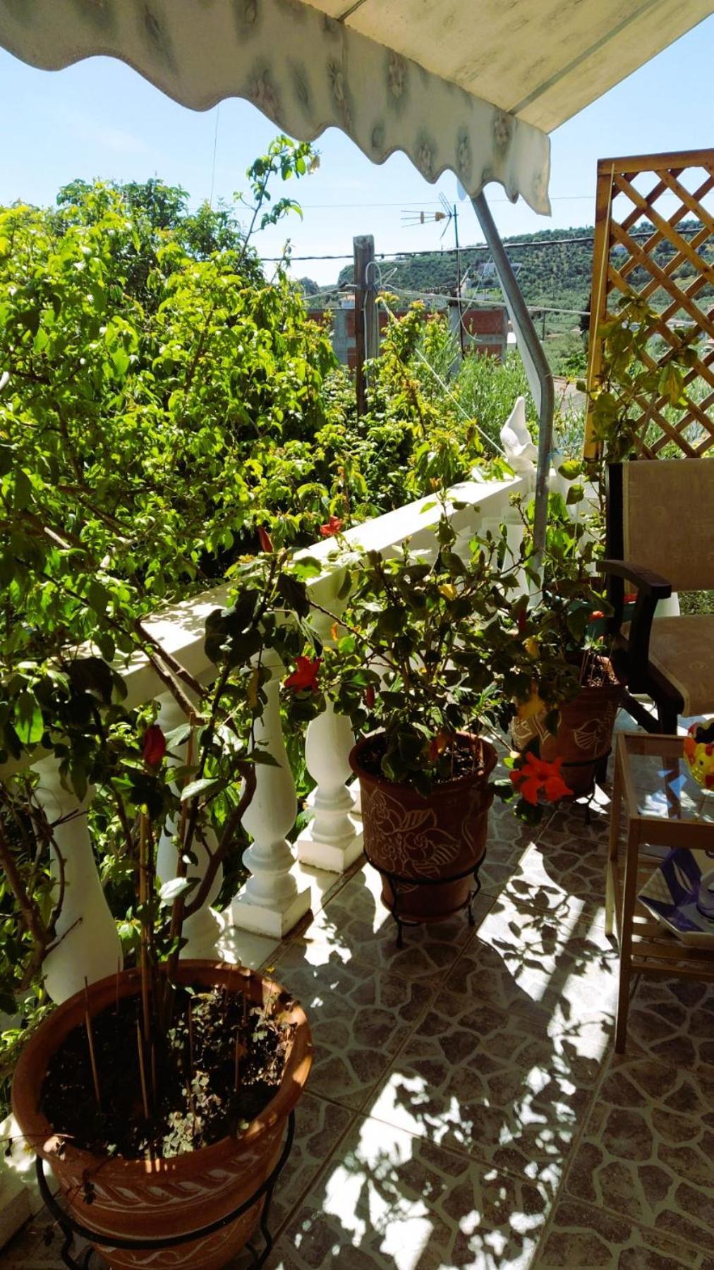Amalia's Maisonette Marathos (Thessaly)