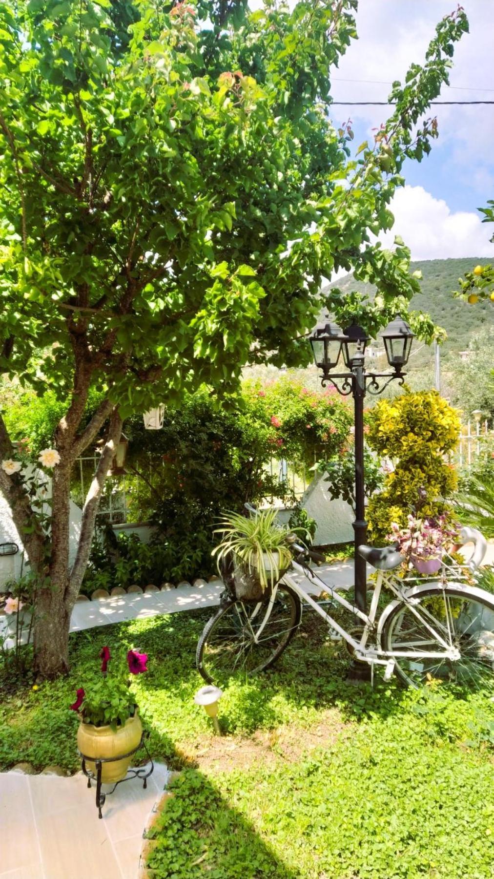 Amalia's Maisonette *