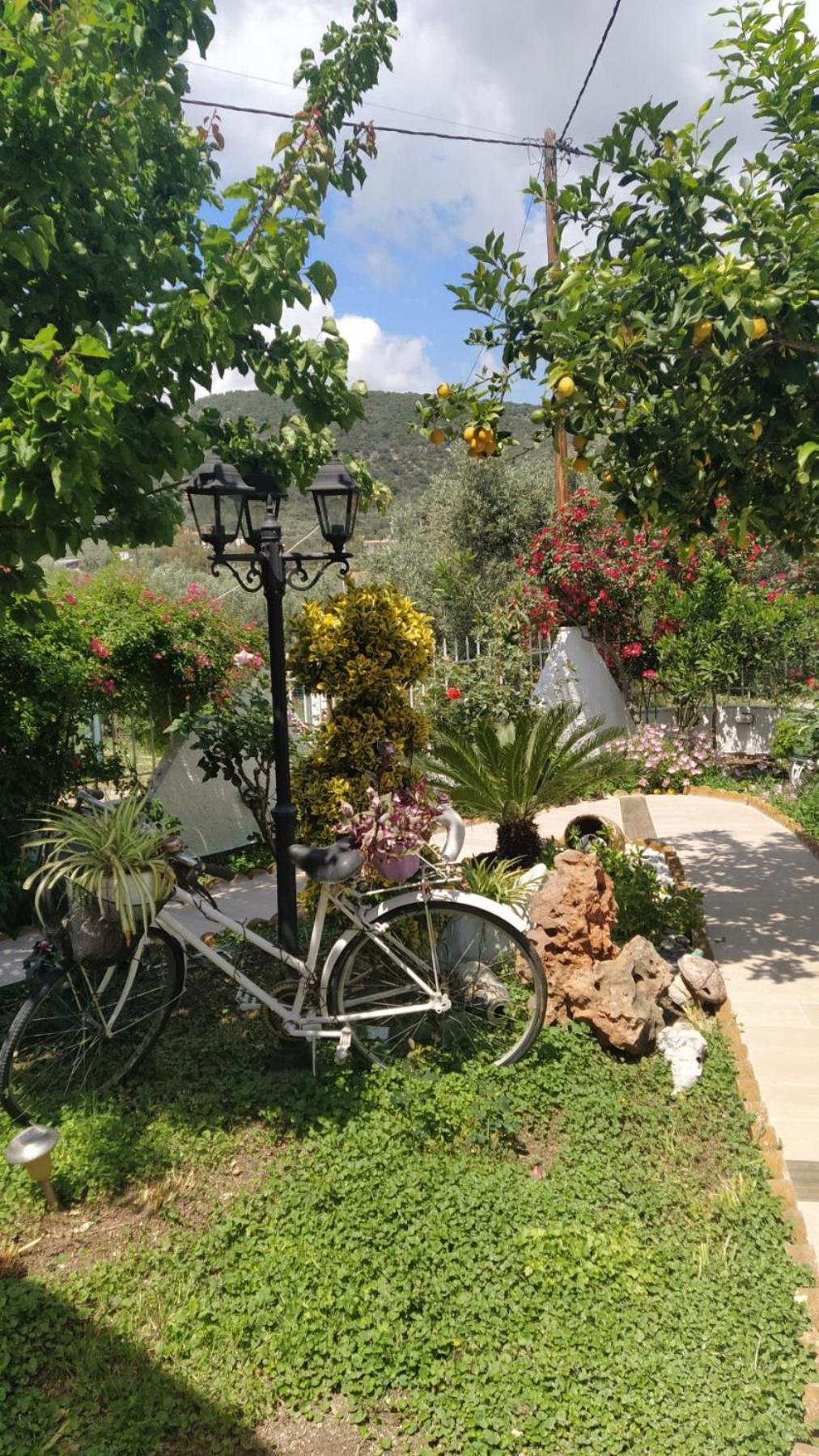Amalia's Maisonette Marathos (Thessaly)